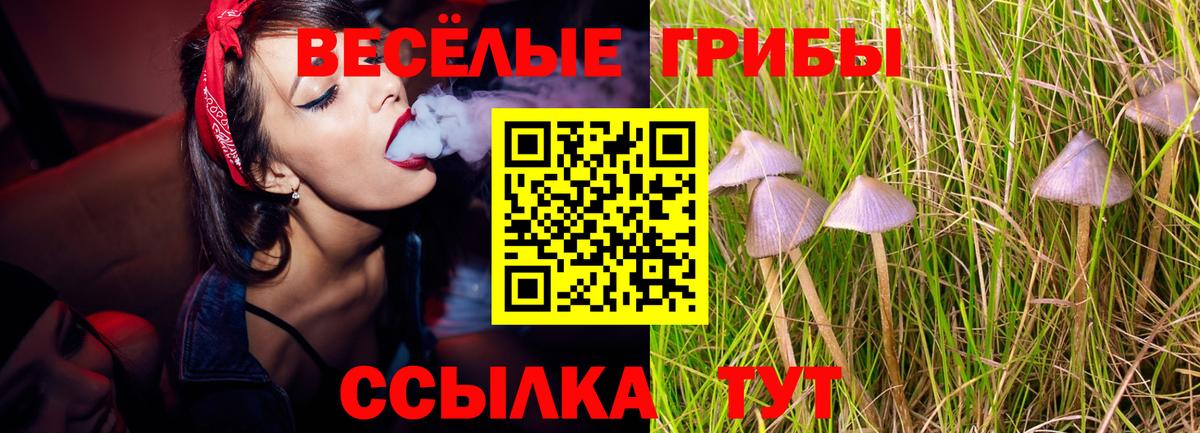 Псилоцибиновые грибы MAGIC MUSHROOMS Псков